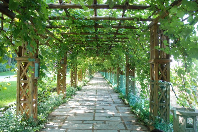 Wood Trellis Installation in Conroe, TX