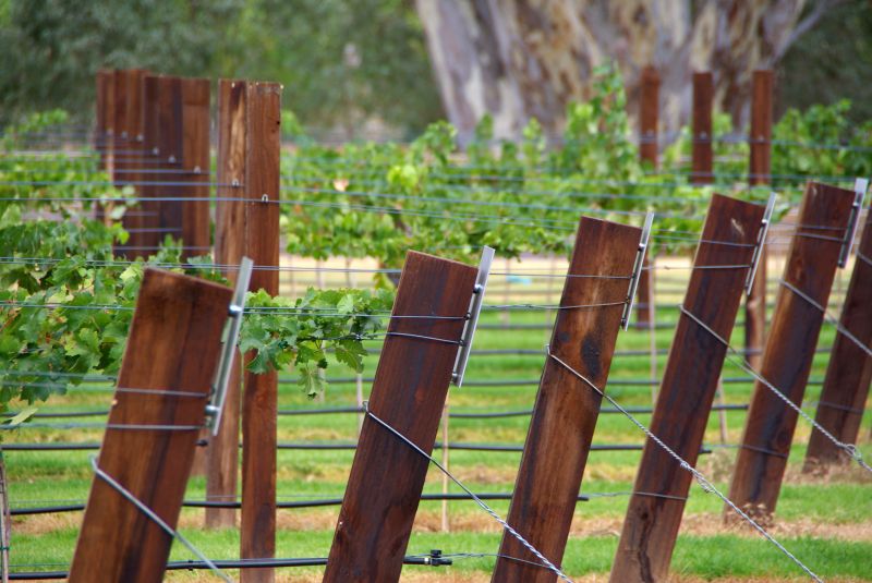 Trellis Construction in Wilmington, NC